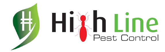 Pest Control providers in Dubai | Best Pest Control service in Dubai